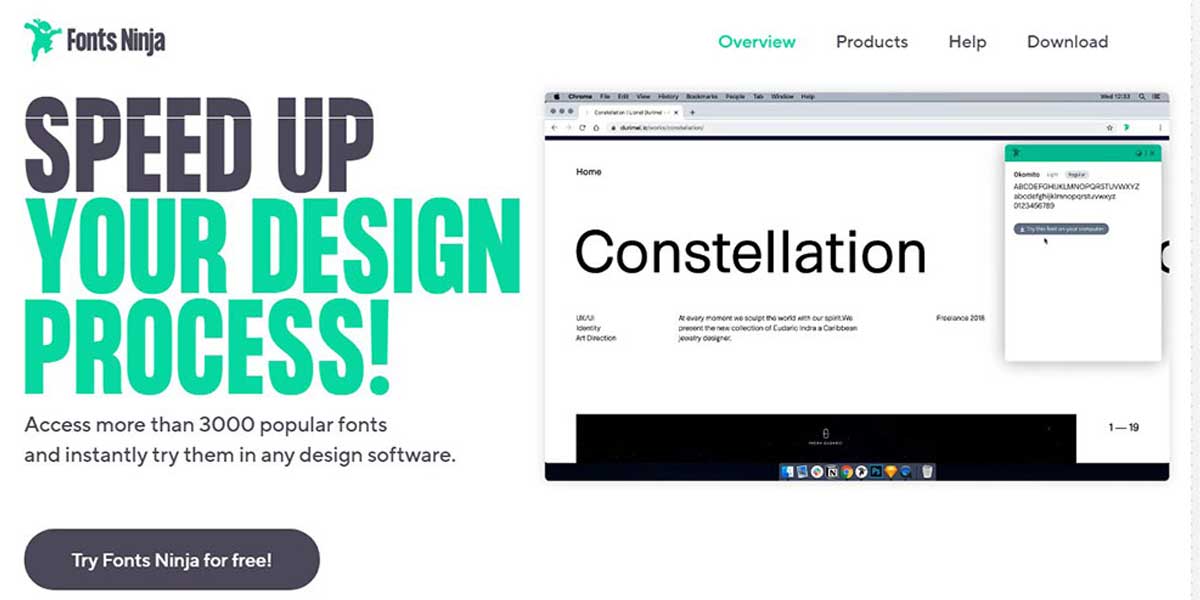 Web designing for startups in chennai